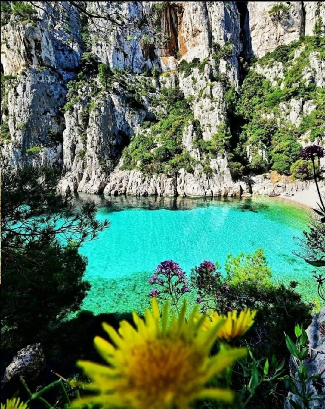 Les Prairies De Fenestrelle Spa & Piscine Au Calme 欧巴涅 外观 照片